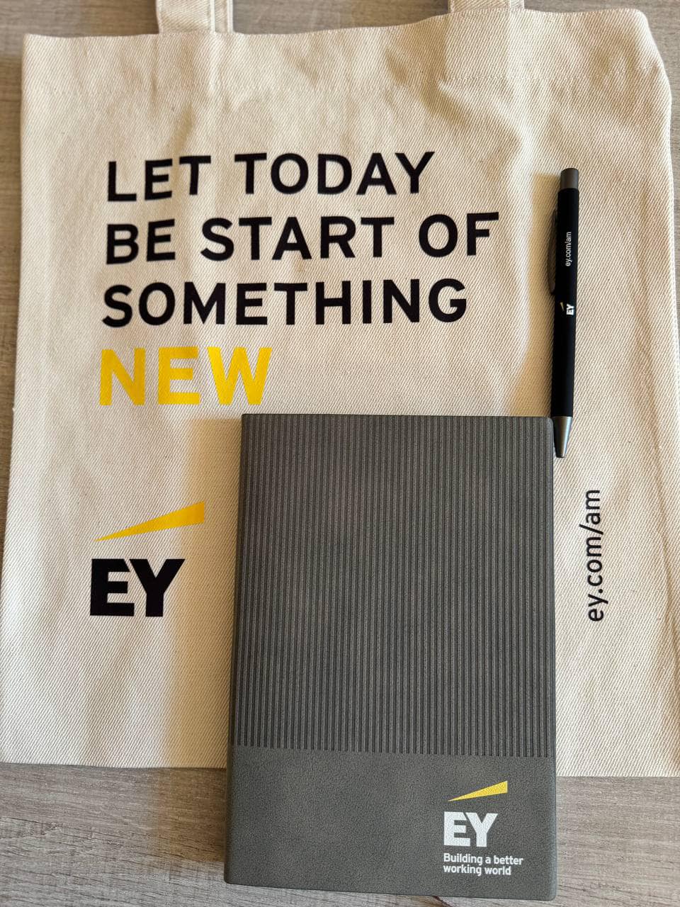 Ey project 12